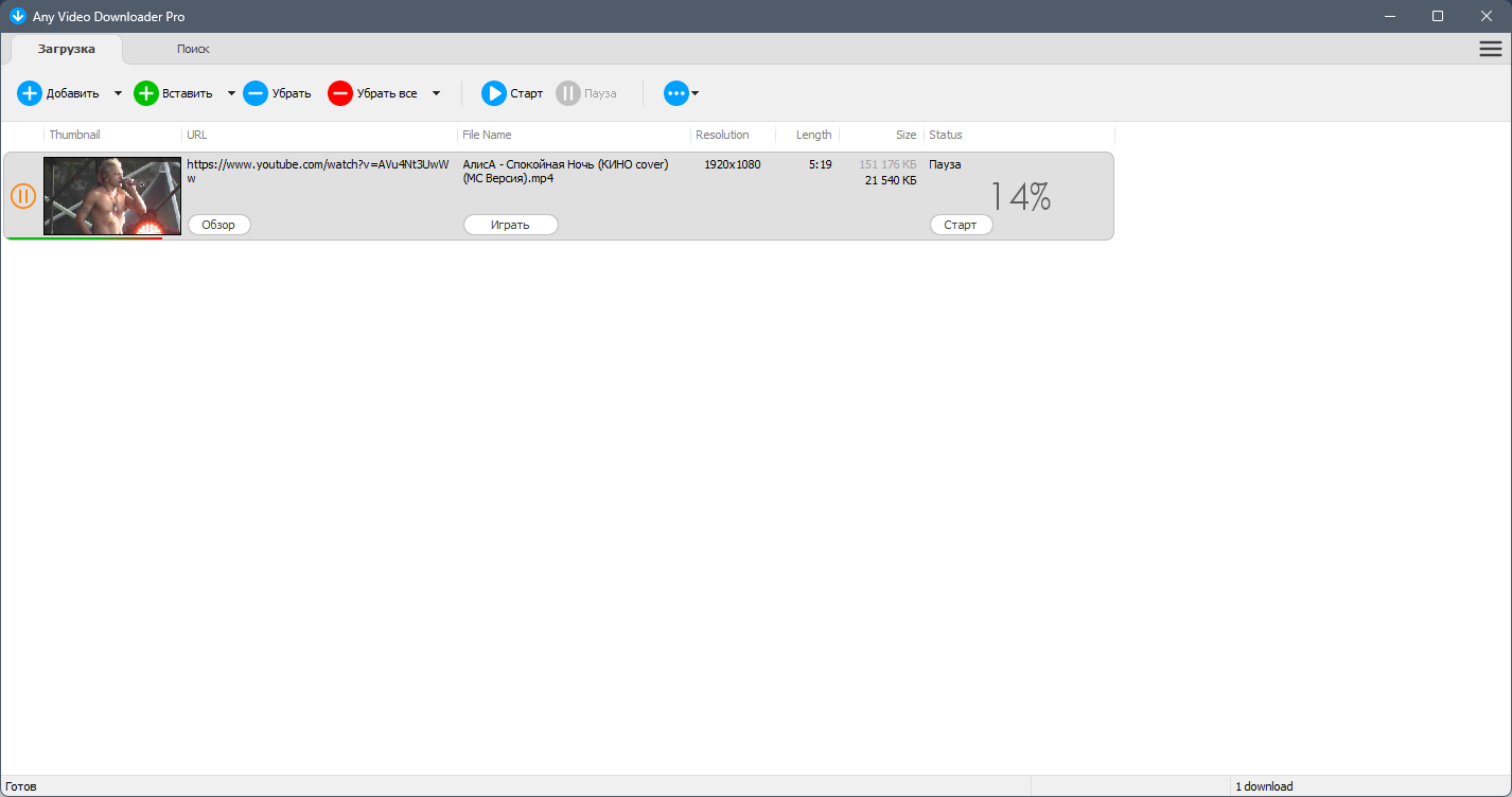 Any Video Downloader Pro