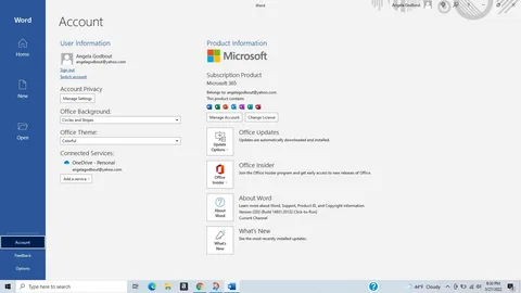 Интерфейс Word Microsoft Office 2024