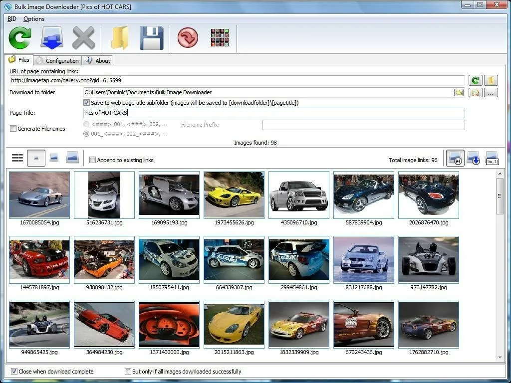 Интерфейс Bulk Image Downloader (BID)
