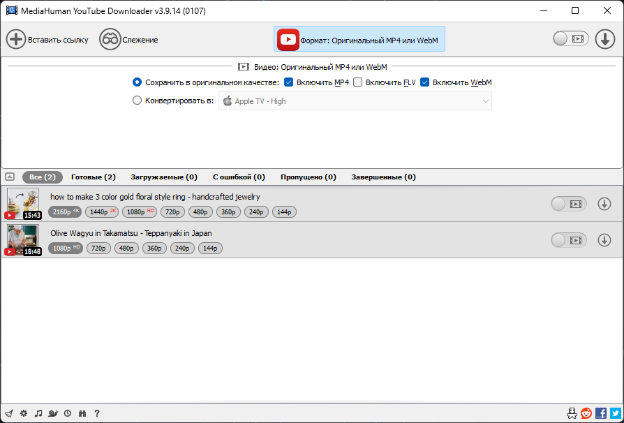 Интерфейс MediaHuman YouTube Downloader
