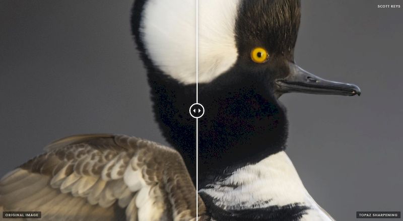 Интерфейс Topaz Photo Pro